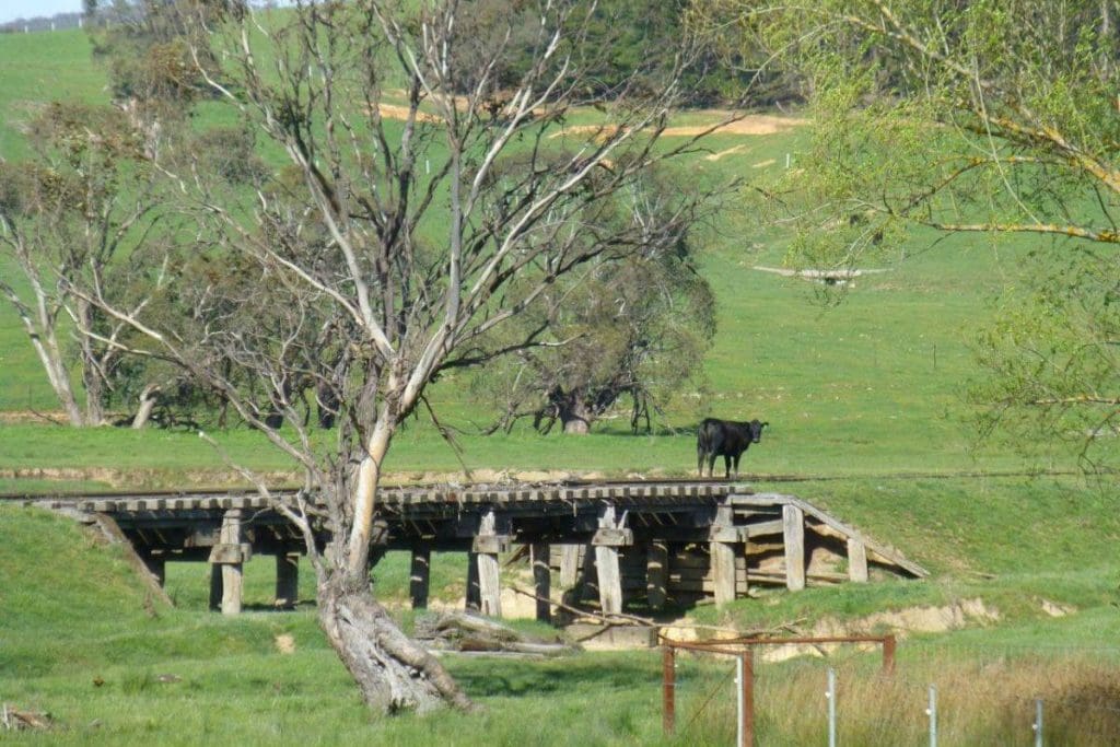 Bells creek bridge near rosewood