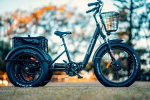 Bicycle Industries Australia believes Western Australia’s law on the maximum width of bikes and other pedal-powered devices is an impediment to people using NDIS assistance to purchase electric trikes.