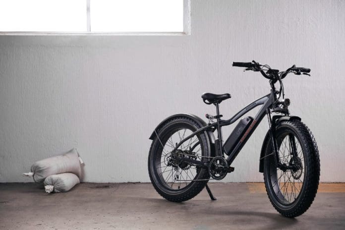 The Rad Power RadRover 5 is one of the fastest budget-priced e-bikes on the market.