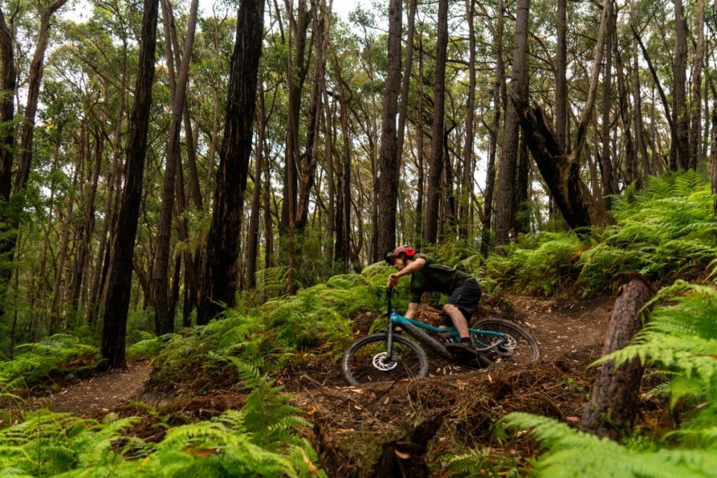 Warburton’s 180km of planned trails and spectacular National Park scenery have the potential make the proposed facility one of the top five MTB destinations in the world.