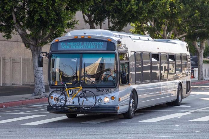 LA Bus