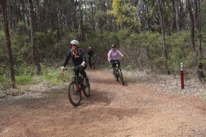 Mountain bikers riding on trail
