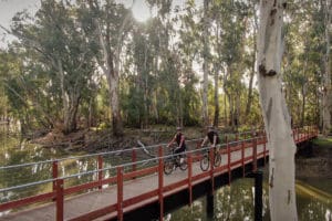 Two people cycling across a bridge in bushland setting