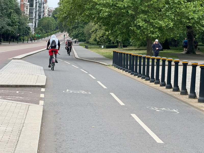 People cycling on a protected lane